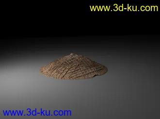 3D打印模型渔翁的斗笠的图片