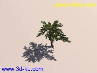 松树模型2的图片