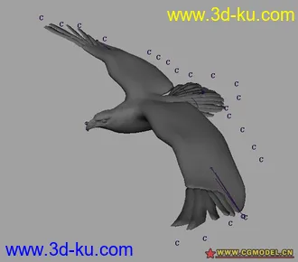 3D打印模型绑定好的鹰的图片