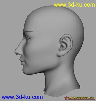 3D打印模型女人头部的图片