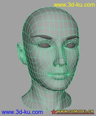 3D打印模型女人头部的图片