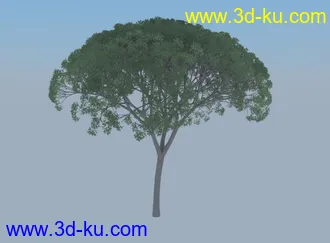 3D打印模型一棵碉堡的树，看着还不错的图片