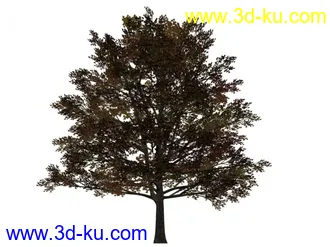 3D打印模型树的图片