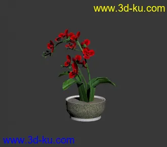 3D打印模型盆栽一盆的图片
