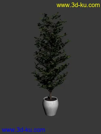 3D打印模型小树一盆的图片