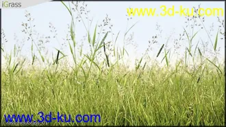 3DSMAX草丛模型合集下载的图片