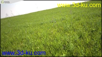 3DSMAX草丛模型合集下载的图片