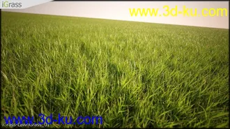 3DSMAX草丛模型合集下载的图片
