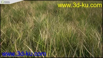 3DSMAX草丛模型合集下载的图片