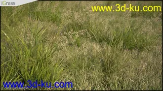 3DSMAX草丛模型合集下载的图片
