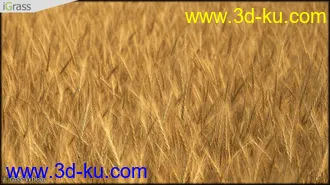 3DSMAX草丛模型合集下载的图片