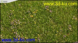 3DSMAX草丛模型合集下载的图片