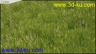 3DSMAX草丛模型合集下载的图片