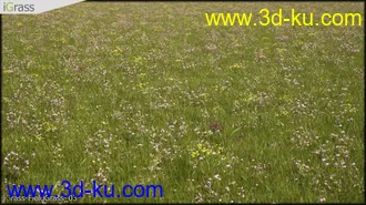 3DSMAX草丛模型合集下载的图片