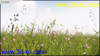 3DSMAX草丛模型合集下载的图片