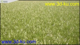 3DSMAX草丛模型合集下载的图片