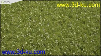 3DSMAX草丛模型合集下载的图片