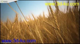 3DSMAX草丛模型合集下载的图片