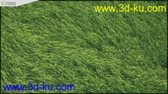 3DSMAX草丛模型合集下载的图片