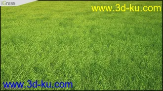 3DSMAX草丛模型合集下载的图片