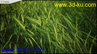 3DSMAX草丛模型合集下载的图片