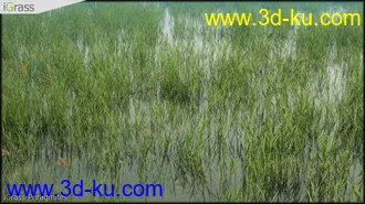 3DSMAX草丛模型合集下载的图片