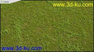 3DSMAX草丛模型合集下载的图片
