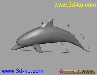 3D打印模型绑定好的海豚的图片