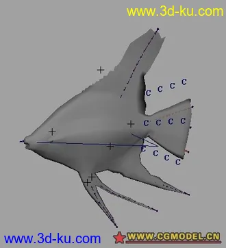 3D打印模型绑定好的热带鱼的图片