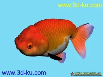 63个鱼的模型（部分有贴图）的图片
