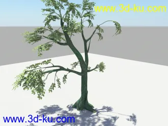 3D打印模型做的树，分享一下的图片