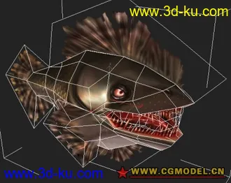 3D打印模型鱼2009的图片