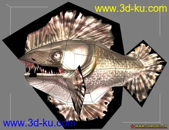 3D打印模型鱼2009的图片