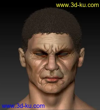 3D打印模型写实MONKEY人头的图片