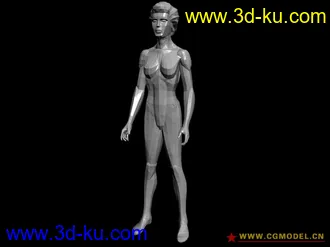 【新手适用】素体男/女/婴儿模型，未光滑、标准站立的图片