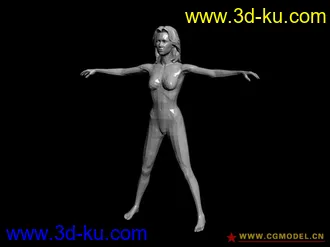 【新手适用】素体男/女/婴儿模型，未光滑、标准站立的图片