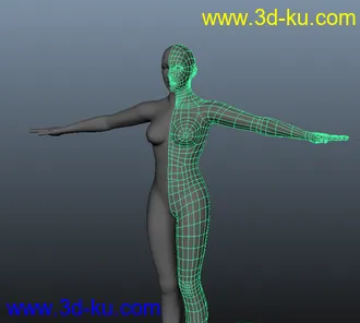 3D打印模型女人体有步骤截图的图片