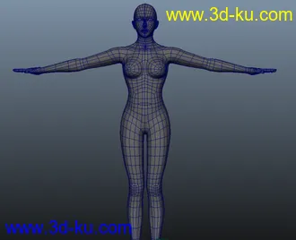 3D打印模型女人体有步骤截图的图片