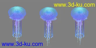 3D打印模型美美的水母的图片