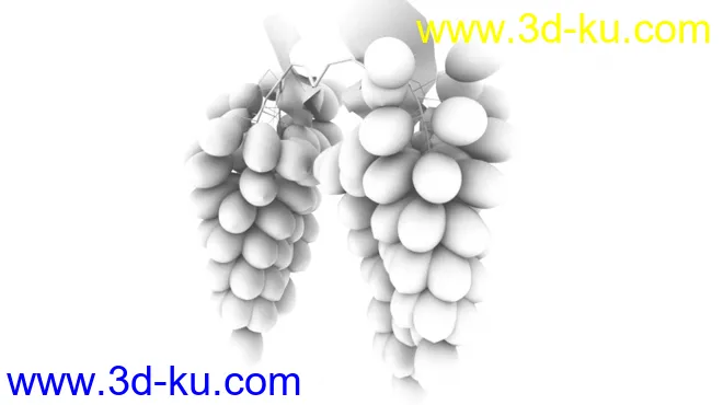 葡萄模型的图片1