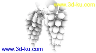 3D打印模型葡萄的图片