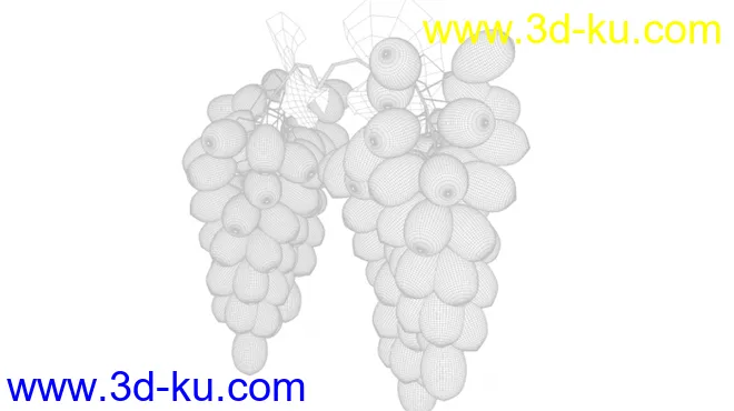 葡萄模型的图片3
