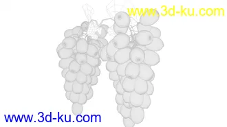 3D打印模型葡萄的图片