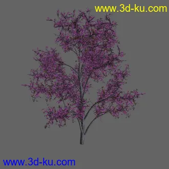 绿色植被 3d模型 Greenworks Xfrog Plants Blossoming-Iso的图片
