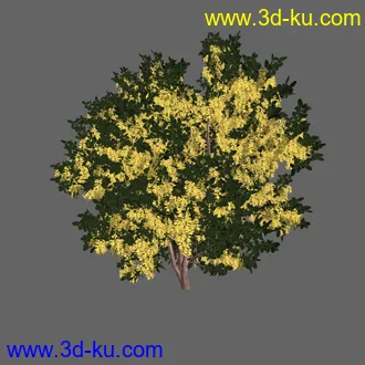 绿色植被 3d模型 Greenworks Xfrog Plants Blossoming-Iso的图片