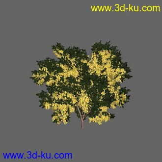 绿色植被 3d模型 Greenworks Xfrog Plants Blossoming-Iso的图片