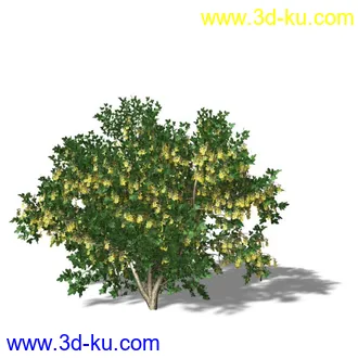 绿色植被 3d模型 Greenworks Xfrog Plants Blossoming-Iso的图片