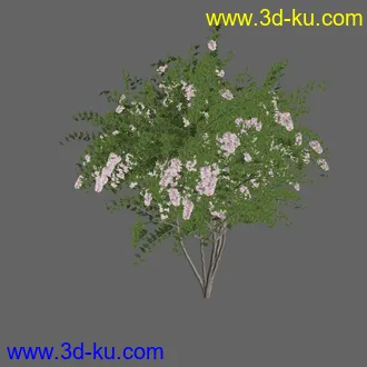 绿色植被 3d模型 Greenworks Xfrog Plants Blossoming-Iso的图片