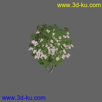绿色植被 3d模型 Greenworks Xfrog Plants Blossoming-Iso的图片