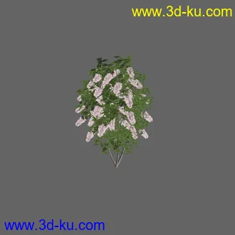 绿色植被 3d模型 Greenworks Xfrog Plants Blossoming-Iso的图片